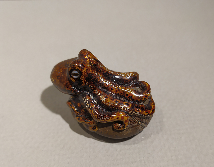 Octopus on a stone06